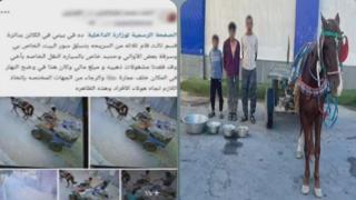 ضبط 3 أشخاص لسرقة منزل في شمال سيناء.. والمتهمون أرشدوا عن المسروقات