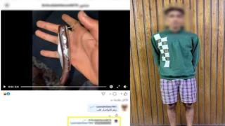 ضبط طالب بالإسكندرية أنشأ صفحة لبيع الأسلحة البيضاء للنصب على المواطنين