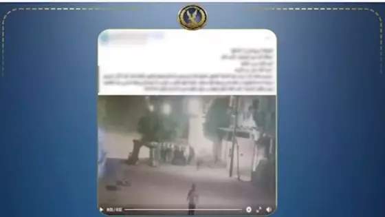 خلافات عائلية تنتهي بالتعدي على سيدة في كفر الزيات.. وضبط عم زوجها وزوجته