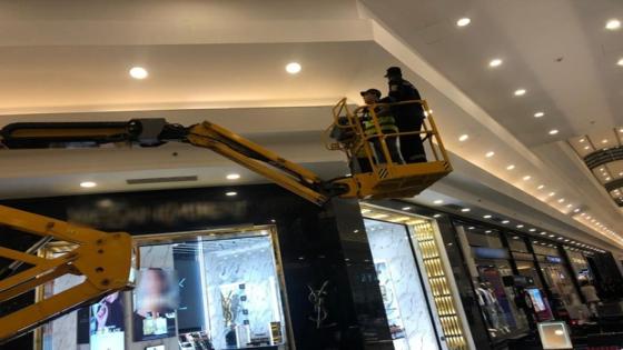 الأمن ينقذ قطة محتجزة أعلى واجهة محل بالإسكندرية