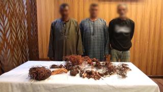 الداخلية تكشف ملابسات فيديو لصوص الكابلات الكهربائية بالجيزة