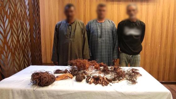 الداخلية تكشف ملابسات فيديو لصوص الكابلات الكهربائية بالجيزة