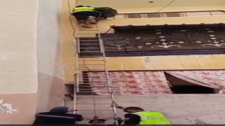 الأجهزة الأمنية بالسويس تنقذ قطة محتجزة داخل شرفة عقار