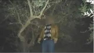 العثور على جثة شرطي معلقة على شجرة.. شاهد